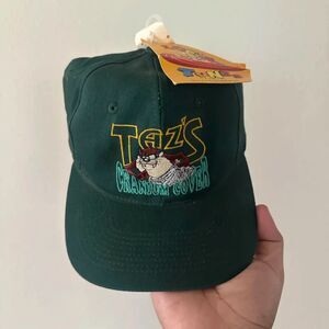 Vintage Looney Tunes Taz's Cranium Cover Snapback Hat